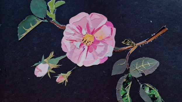A rose inspired by Mary Delany's paper mosaicks.